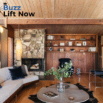 Mid Century Modern living Room