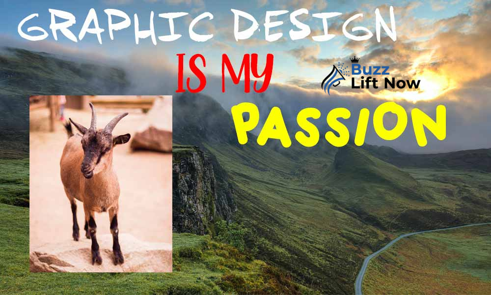 Graphic design is my passion