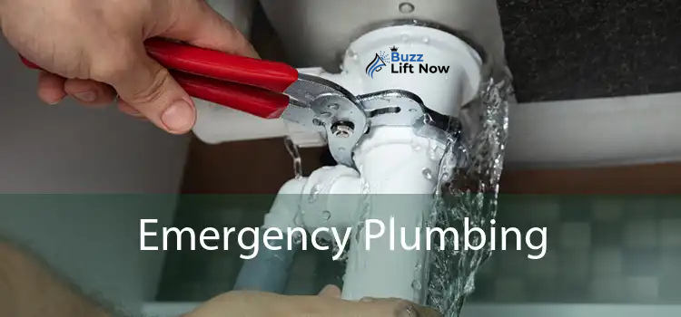 emergency plumbing
